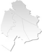fir